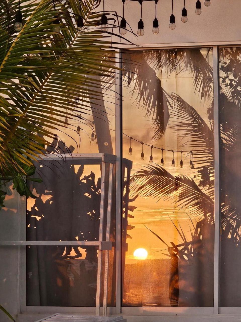 The Sunset